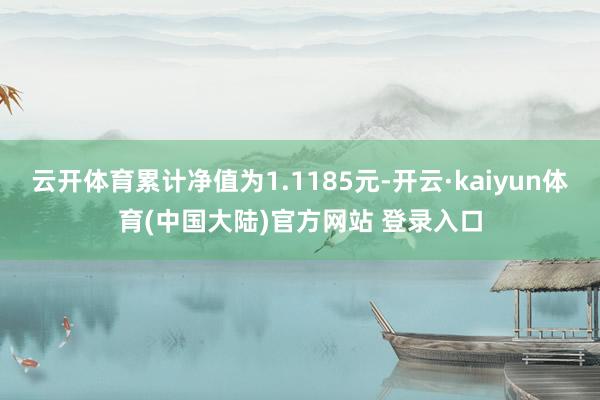 云开体育累计净值为1.1185元-开云·kaiyun体育(中国大陆)官方网站 登录入口