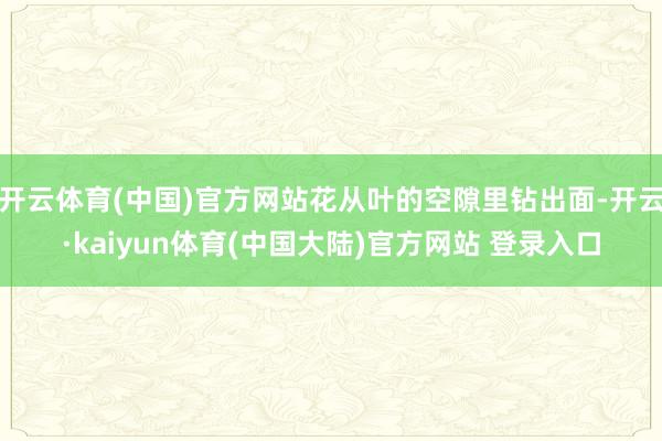 开云体育(中国)官方网站花从叶的空隙里钻出面-开云·kaiyun体育(中国大陆)官方网站 登录入口